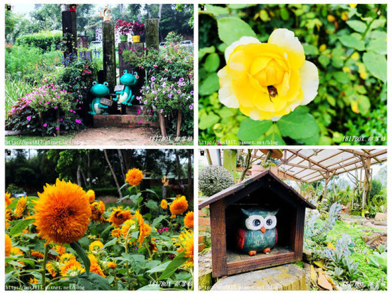 【苗栗。三義】雅聞香草植物工廠 ARWIN Plant Factory。古典玫瑰莊園。七彩花卉一次賞。苗栗觀光工廠