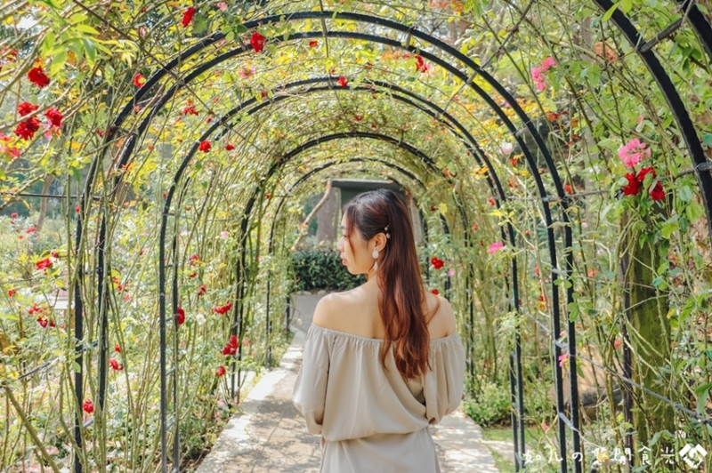 【苗栗旅遊／景點】雅聞香草植物工廠｜不用飛出國！苗栗三義就有台版凡爾賽玫瑰花園｜兼具休閒、養生、旅遊「免門票」景點！