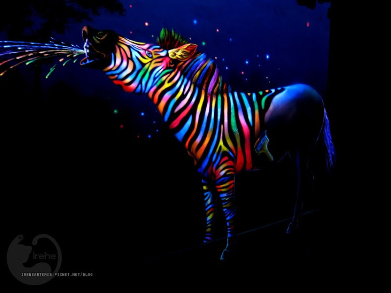 【台北。展覽】Dark Art．3D夜光藝術展 @光影魔術+3D的超魔幻體驗