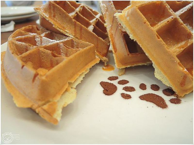 【星羽愛美食-台中】小巧精緻中價位日系雜貨雜貨餐廳，有可愛小貓和好好吃奶酪~咖啡日和。