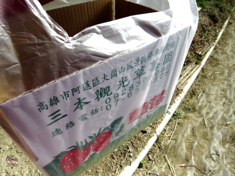 2014.01.18 -【高雄】大崗山採草莓、生態園區散散步