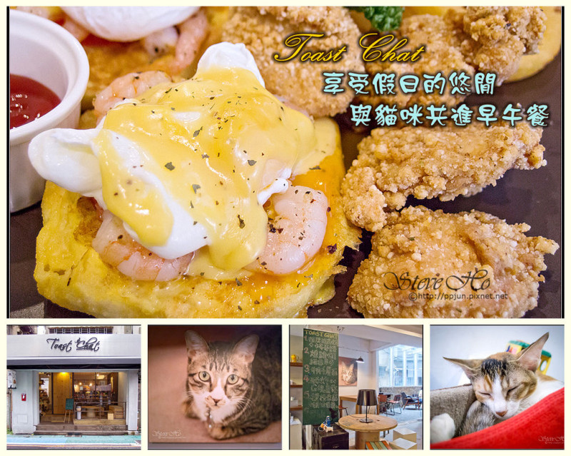 【食記】Toast Chat -  享受假日的悠閒。與貓咪共進早午餐