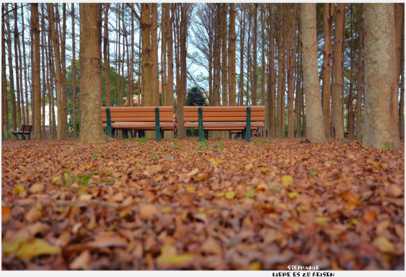 ｜台南‧善化｜坐落在社區中的一座小森林*溪美社區