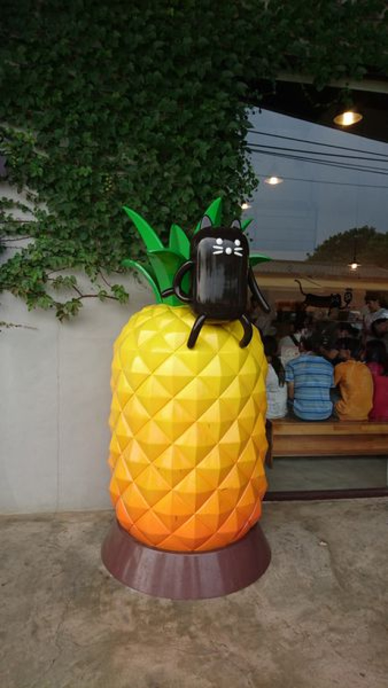 【嘉義】鳳梨&貓咪? 民雄必吃伴手禮『旺萊山鳳梨文化園區』