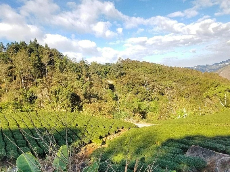 【嘉義.住宿】秘密遊mimiyo，好吃好住好空氣，讓人不想下山