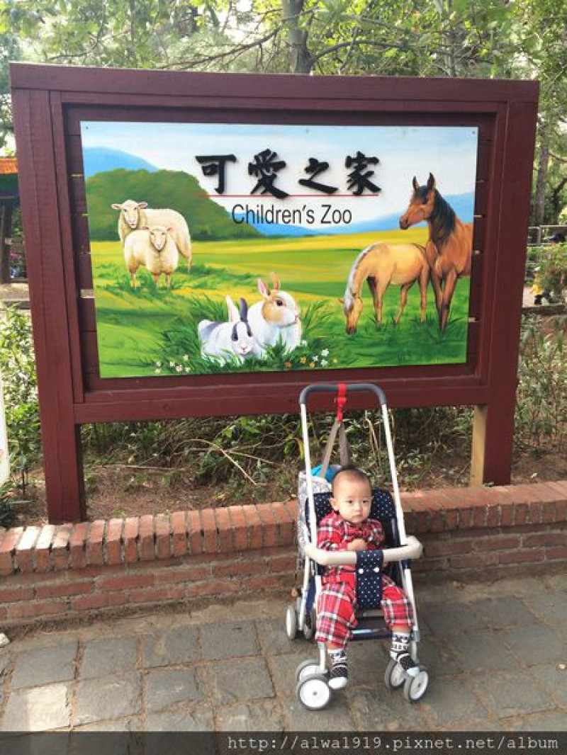 【親子旅遊】好玩又便宜的新竹市立動物園，寶寶第一次與動物的親密接觸