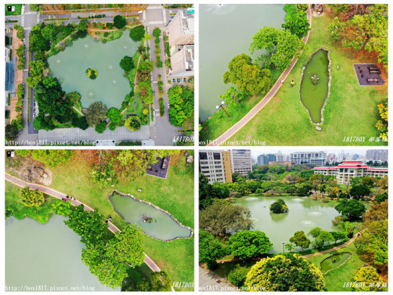 【台中。南區】中興大學。秋海棠中興湖＆迷你台灣池