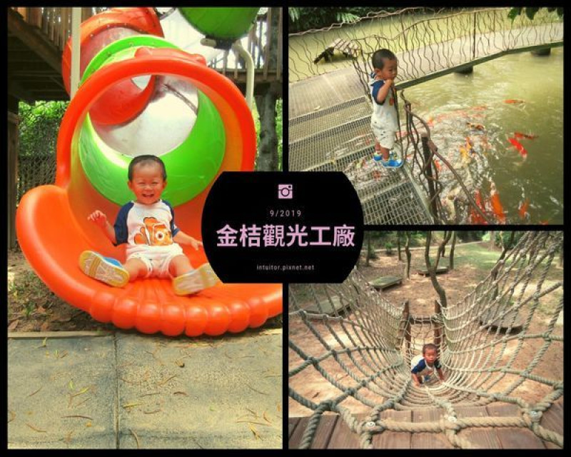 【嘉義】民雄金桔觀光工廠/童話樹屋，遊戲餵魚賞蝶飲桔茶一網打盡