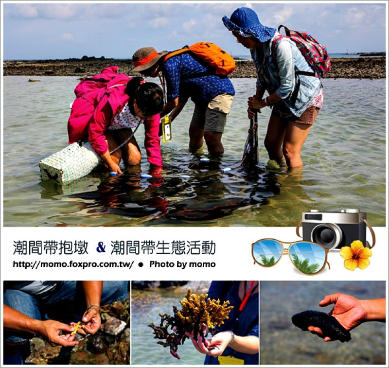 【2015.08.07【旅遊：澎湖】來到澎湖一定要體驗的「潮間帶抱墩 & 潮間帶生態觀賞活動」~親近大自然實在太促咪了啦！】