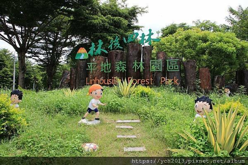 屏東潮州景點推薦／林後四林平地森林園區／寬闊的園區有樹林可乘涼，有圳溝可玩水，還有許多藝術作品點綴其中