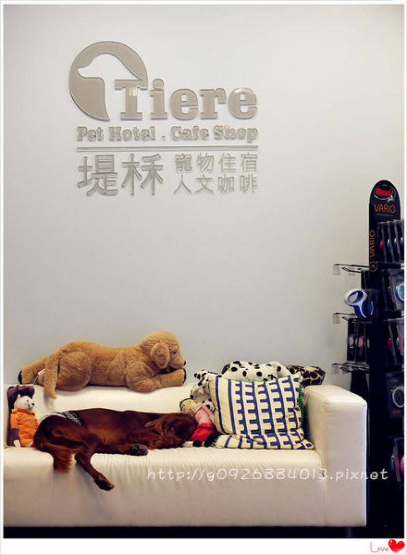【新北市】板橋區。免費wifi，包場服務「Tiere Pet Hotel 堤柇」寵物(貓狗)住宿。寵物餐廳。人文咖啡 (毛小孩專屬餐點)