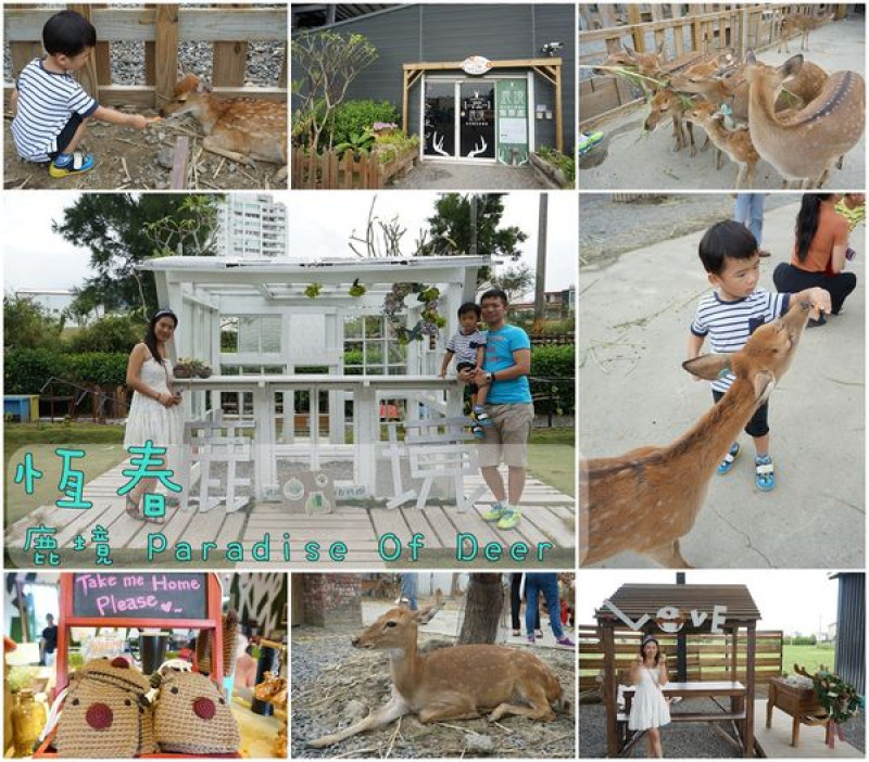 【屏東恆春】『鹿境 Paradise Of Deer』~梅花鹿生態園區，想看可愛小鹿斑比不用飛奈良，恆春墾丁鹿境也很好玩，小鹿商品好療癒！