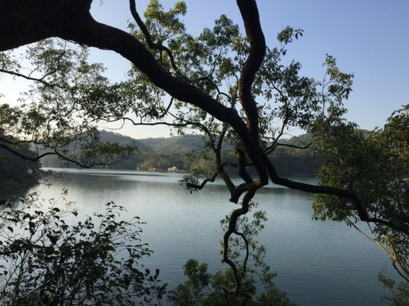 苗栗景點 日新島水榭樓