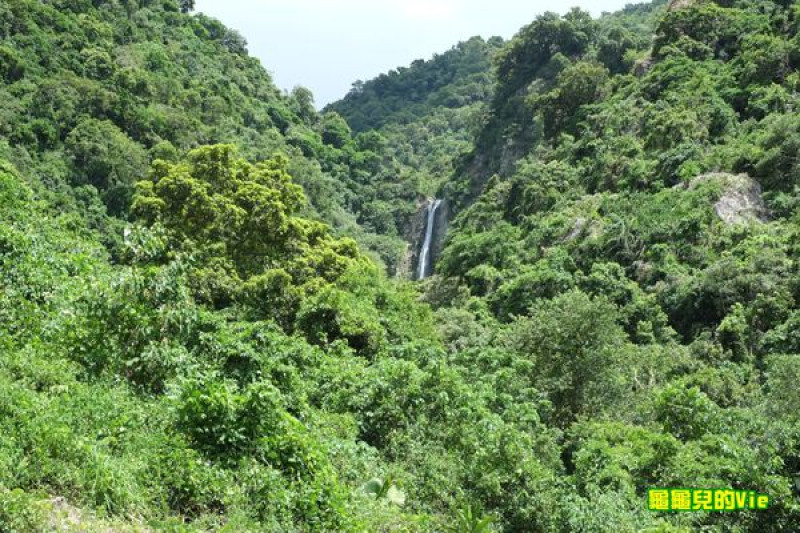∥龜龜ai吃吃∥花蓮 羅山村 溫媽媽火山豆腐 生態驛站 誤打誤撞的美味豆腐料理 綿密可口又健康