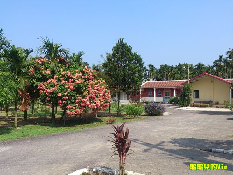 ∥龜龜毛小孩∥高雄 ~旗山三合院民宿~ 樸實 自然 幽靜的小秘境 可帶寵物