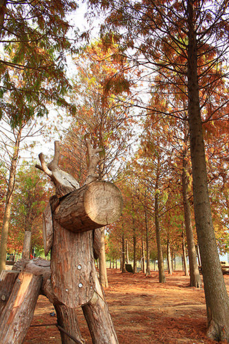 【南投景點。南投市】爆新祕境私房景!冬季限定。省下機票錢仿佛
