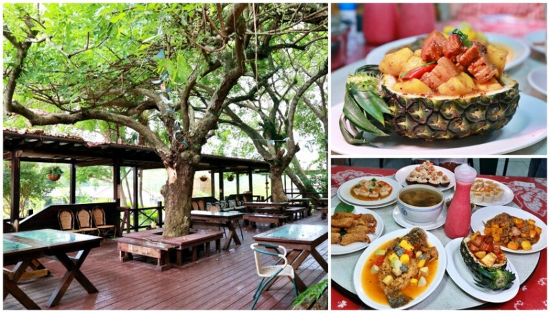 台南景點｜果農之家體驗森果川自然園區採果樂.龍波步道、台南楠西美食水果創意料理.梅子伴手禮