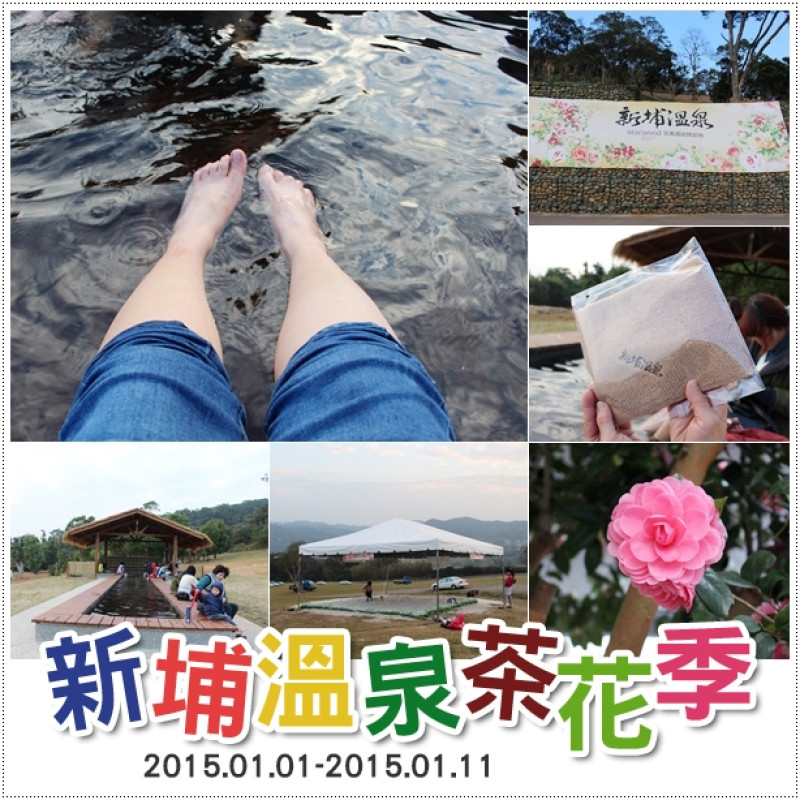 新埔｜新埔溫泉茶花季．品茗賞茶花泡腳去~