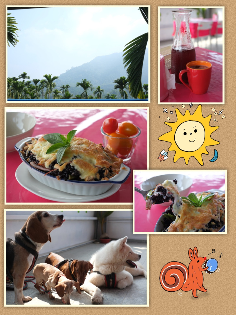 ∥龜龜Bilingual∥高雄 杉林 ~月光杉林廚房~ 新鮮自然好美味 慢食放空好輕鬆（寵物友善）