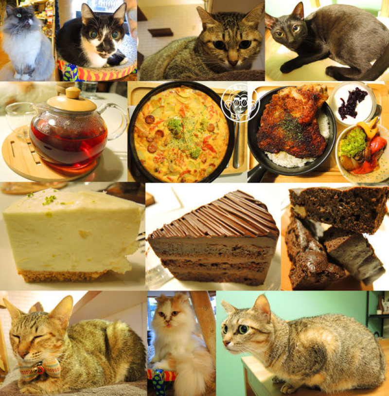 呷飽祙【台北大安･甦活零工坊】你是貓派還是狗派呢？        
      