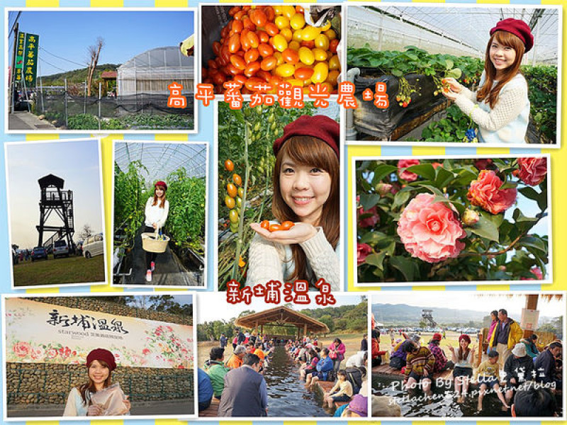 【新竹-關西＆新埔】採番茄初體驗＠高平番茄農場＆順遊新埔溫泉！！