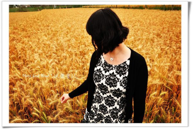 【台中】大雅小麥田私房景點，"麥"擱來啊!，大雅驫(ㄅㄧㄠ)麥趣(小麥田觀光節)。3月外拍婚紗景點