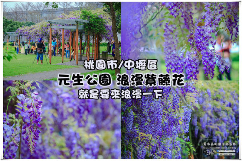 元生公園 紫藤花季|桃園市/中壢區(浪漫紫藤花超級人氣熱門景點，除了浪漫還是浪漫)