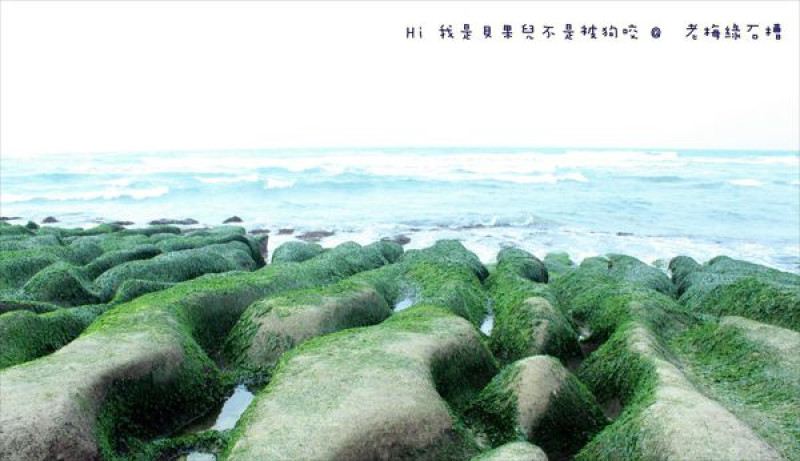 【北海岸景點推薦】老梅綠石槽，猶如來到綠翡翠王國♥♥季節限定美景♥♥