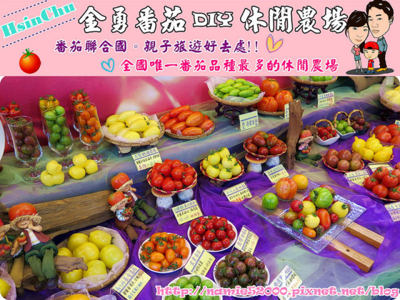 ❤[玩-關西]金勇番茄DIY休閒農場。番茄聯合國。親子旅遊好去處!!