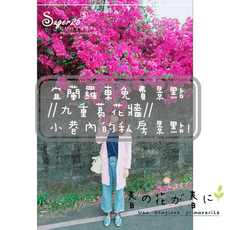 [旅遊]羅東免費景點//九重葛花牆//小巷內的私房景點!!--宜蘭縣羅東鎮