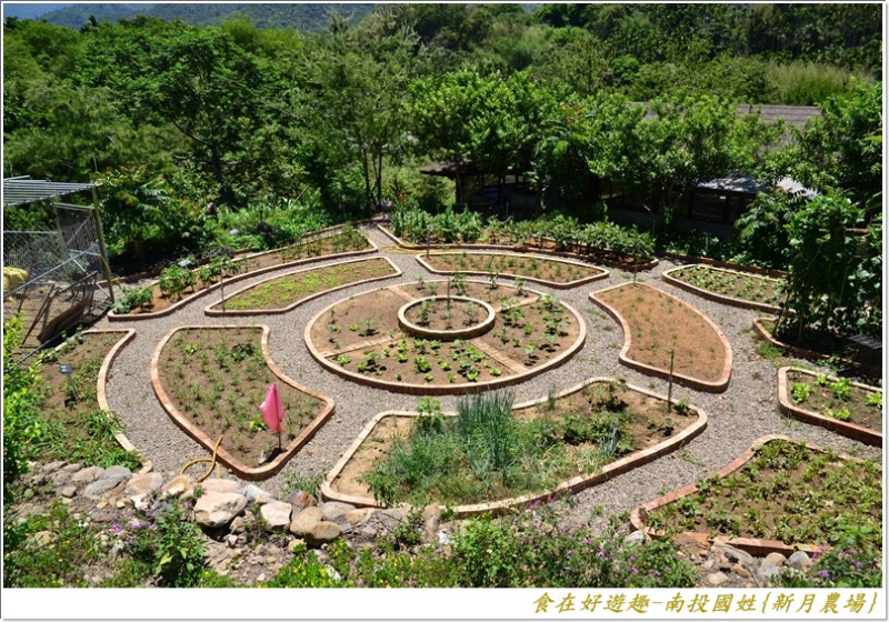 來去農場逛逛順便走訪私房秘境賞景!!南投國姓-新月農場+碧雲宮