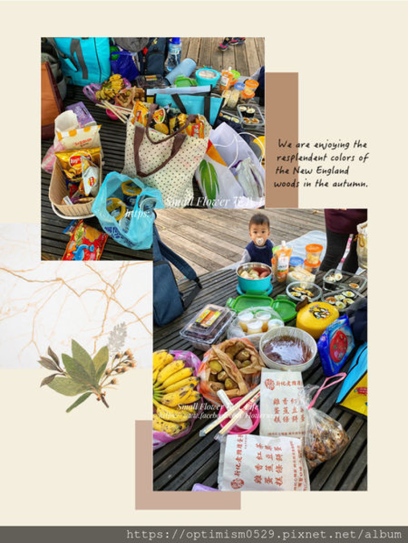 《台南-佳里》蕭壠文化園區文化園區野餐遛小孩