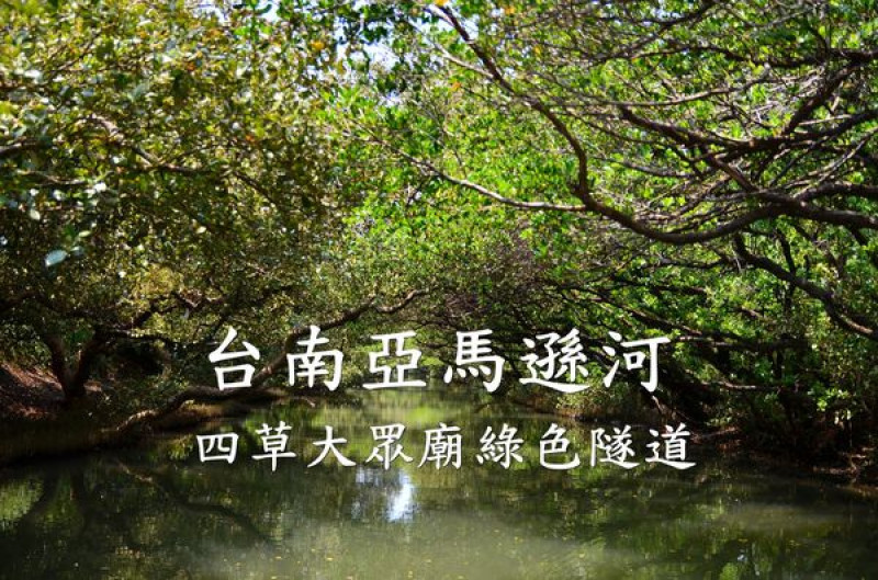 【台南安南區】『四草大眾廟綠色隧道』~台版亞馬遜河，綠色隧道生態之旅。