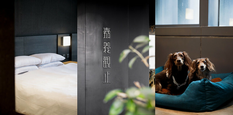 【西區/住宿】帶毛孩來到嘉義不能不知道的寵物友善飯店-Chiayi Guanzhi Hotel 嘉義觀止