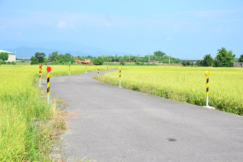 暢遊田園風光，漫步在宜蘭三奇村的伯朗大道!!