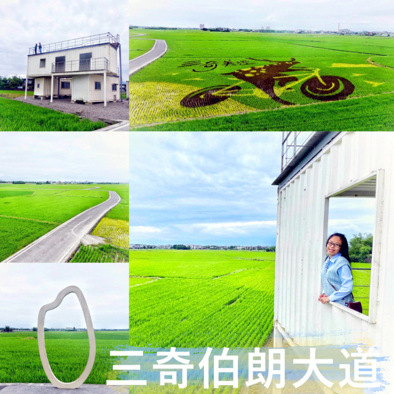 三奇伯朗大道 2021。三奇美徑。稻田作品。稻田美景可以這樣拍，享受愜意的田野時光