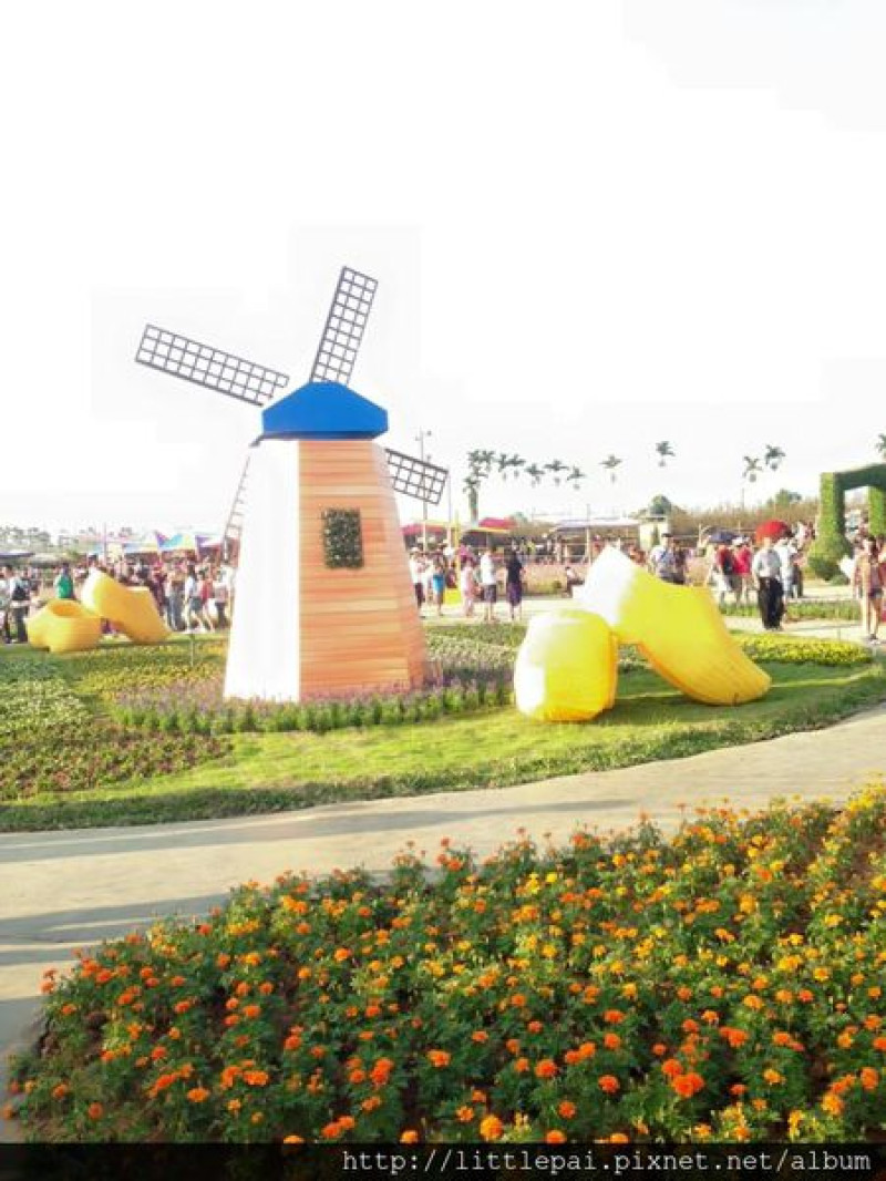 [台中 x 旅遊] 新社花海 天氣超好~人超多!!!大片棋盤花海好美!