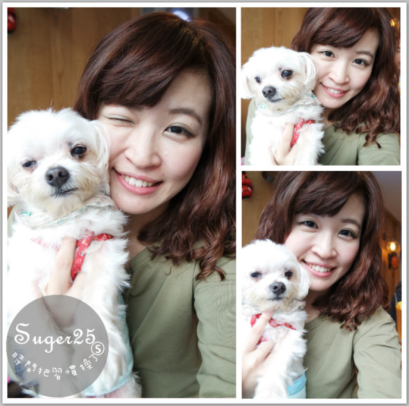 [美食]寵物友好餐廳//跑飯店The Paw Hotel//超療癒的早餐早午餐，愛毛小孩的你不要錯過!!!--台北忠孝新生站