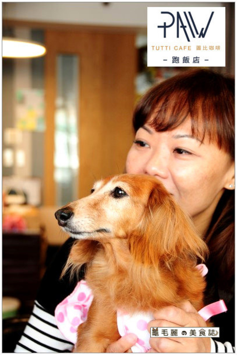 【忠孝新生美式餐廳】『跑飯店Paw Hotel』療癒系 寵物友善餐廳 有吃有玩 狗狗最愛的遊樂園!
