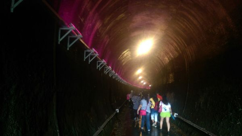 功維敘隧道：超美七彩燈！(含影片、路線指引)
