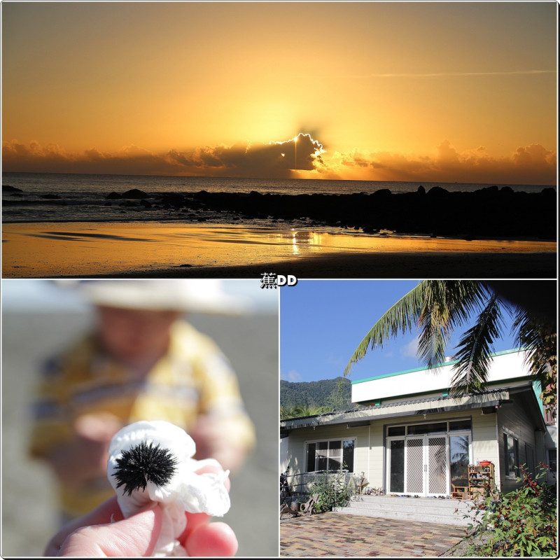 [住宿推薦] [台東 – 民宿] [成功鎮] 留的不只是一個夜晚、留住你的是對台東的想念 / 木頭魚民宿- 蕉DD的初來乍到