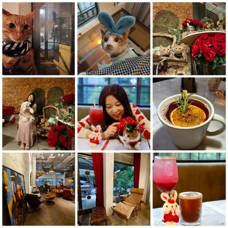 【台北.信義安和站】舒服生活Truffles Living英式復古風格。寵物超級友善是咖啡廳也是酒吧