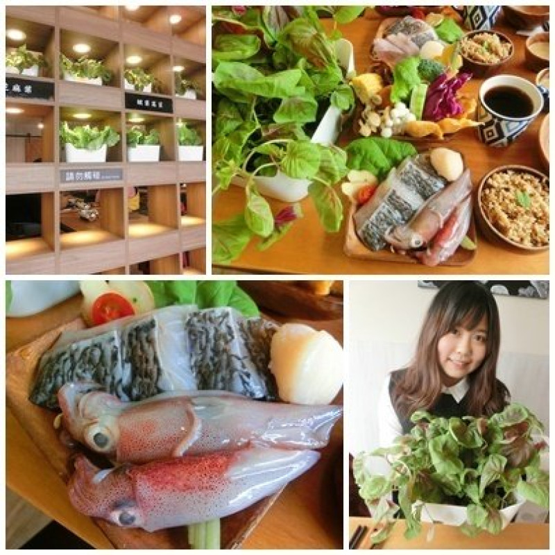 新竹市清大交大學區美食腰果花砧板原食料理 鮮美鱸魚自家漁獲小卷生食級仙貝火鍋 自己D.I.Y撕水耕菜