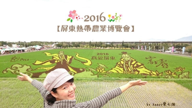★屏東長治★霹靂布袋戲3D彩繪稻田現身2016【屏東熱帶農業博覽會】