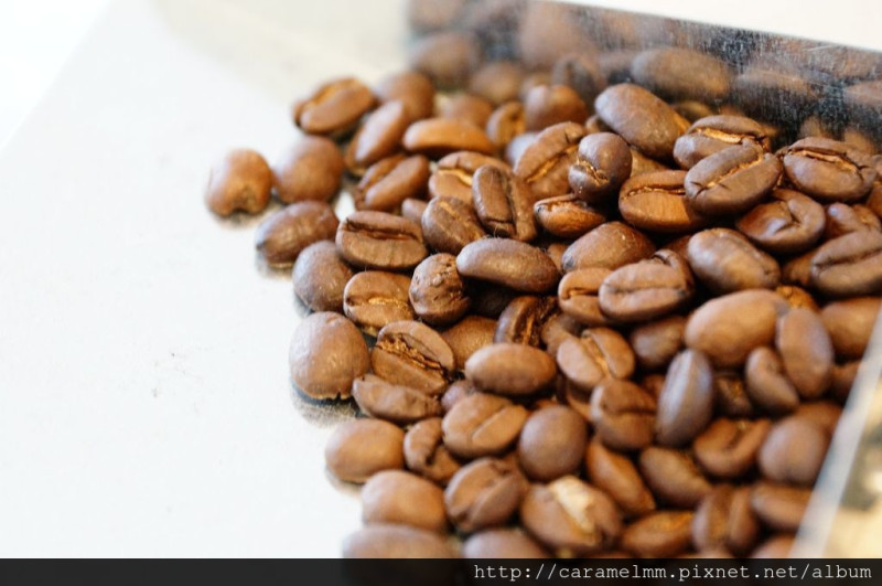 【台中南屯】waka cafe 瓦卡咖啡 品。世界十大昂貴名豆-藝妓咖啡 勇往直前，小農咖啡FIGHTING！向上南路/文心公園/圓滿劇場/萬壽棒球場