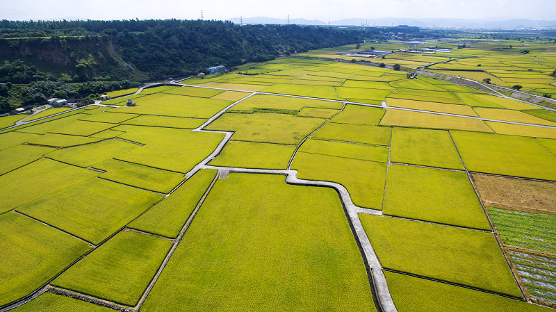 手心裡的金色拼圖 * 台中外埔 . 忘憂谷 ( 空拍篇 )