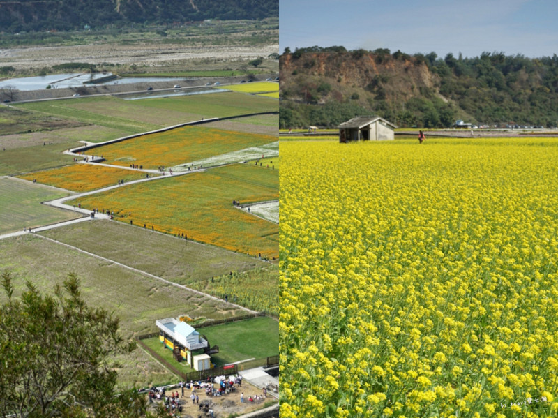 ★台中外埔★大地的畫布【忘憂谷】盜命師、花甲男孩拍攝地。