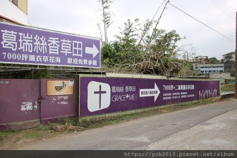 苗栗頭屋葛瑞絲香草田與明德水庫遊艇碼頭