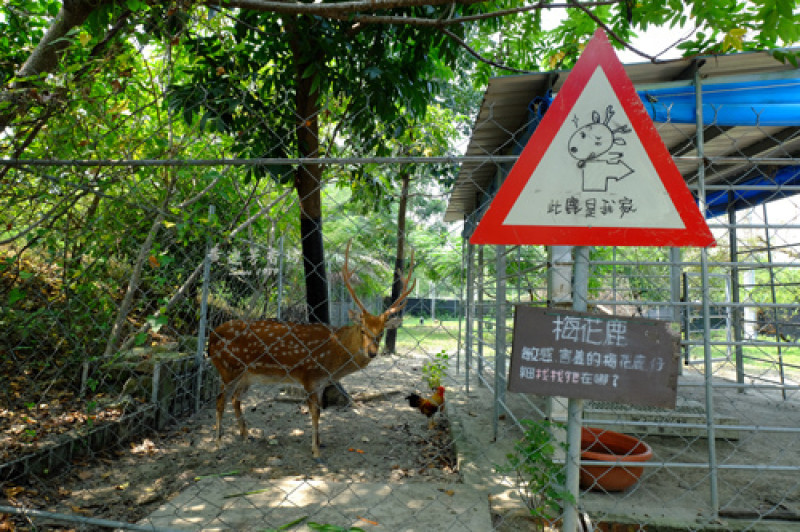 台南新市, 樹谷農場