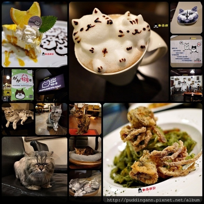 [口碑]台北市政府站 Miao 米亞歐隨義小廚 可愛立體貓咪拉花/貓咪拉花咖啡 *有WIFI 附菜單* 超多可愛貓咪伴食溫馨餐廳! 貓中途之家 氣氛好餐點好份量多好餐廳!!! 跟貓咪一起吃一頓好料